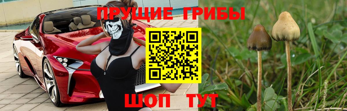 Псилоцибиновые грибы MAGIC MUSHROOMS  Вход с VPN  Ишимбай  Галлюциногенные грибы MAGIC MUSHROOMS 